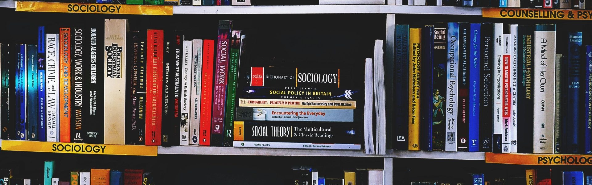 library 4